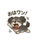 チョコchocoスタンプ（個別スタンプ：2）