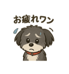 チョコchocoスタンプ（個別スタンプ：6）