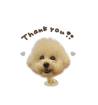 はるちゃん.deformation（個別スタンプ：5）