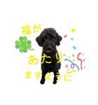あたるがあたる（個別スタンプ：1）