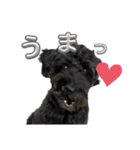 あたるがあたる（個別スタンプ：4）