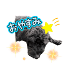 あたるがあたる（個別スタンプ：8）