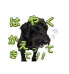 あたるがあたる（個別スタンプ：9）