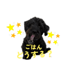 あたるがあたる（個別スタンプ：15）