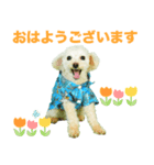 つくねちゃんのかわいいスタンプです！（個別スタンプ：1）