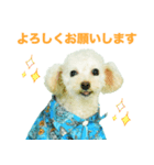 つくねちゃんのかわいいスタンプです！（個別スタンプ：3）
