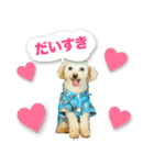 つくねちゃんのかわいいスタンプです！（個別スタンプ：4）