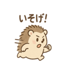 毎日ひとこと とげハリ 便利スタンプ（個別スタンプ：17）