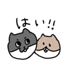 なかよしねこの毎日スタンプ2（個別スタンプ：1）