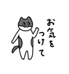 なかよしねこの毎日スタンプ2（個別スタンプ：6）