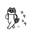 なかよしねこの毎日スタンプ2（個別スタンプ：10）