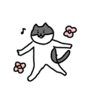 なかよしねこの毎日スタンプ2（個別スタンプ：17）