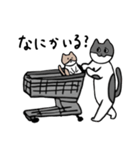 なかよしねこの毎日スタンプ2（個別スタンプ：22）