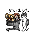 なかよしねこの毎日スタンプ2（個別スタンプ：23）