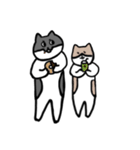 なかよしねこの毎日スタンプ2（個別スタンプ：25）