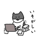 なかよしねこの毎日スタンプ2（個別スタンプ：33）