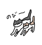なかよしねこの毎日スタンプ2（個別スタンプ：36）