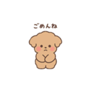 トイプーちゃん(モカ)（個別スタンプ：3）