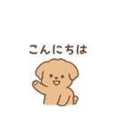トイプーちゃん(モカ)（個別スタンプ：5）