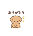 トイプーちゃん(モカ)（個別スタンプ：6）