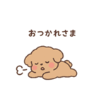 トイプーちゃん(モカ)（個別スタンプ：8）
