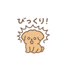 トイプーちゃん(モカ)（個別スタンプ：12）