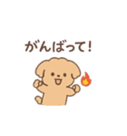 トイプーちゃん(モカ)（個別スタンプ：13）