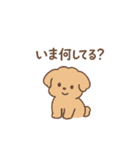 トイプーちゃん(モカ)（個別スタンプ：16）