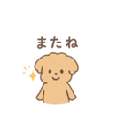 トイプーちゃん(モカ)（個別スタンプ：21）