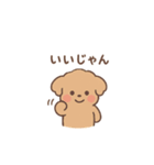 トイプーちゃん(モカ)（個別スタンプ：23）