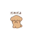 トイプーちゃん(モカ)（個別スタンプ：24）