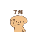 トイプーちゃん(モカ)（個別スタンプ：25）