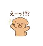 トイプーちゃん(モカ)（個別スタンプ：27）