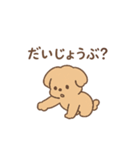 トイプーちゃん(モカ)（個別スタンプ：31）