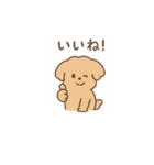 トイプーちゃん(モカ)（個別スタンプ：33）