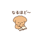 トイプーちゃん(モカ)（個別スタンプ：34）