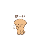 トイプーちゃん(モカ)（個別スタンプ：40）