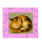 幸せな猫達の世界（個別スタンプ：27）