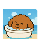 海のトイプードル@SFW（個別スタンプ：4）