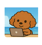 海のトイプードル@SFW（個別スタンプ：5）