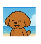 海のトイプードル@SFW（個別スタンプ：8）