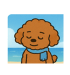 海のトイプードル@SFW（個別スタンプ：9）