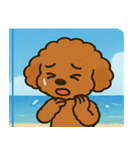 海のトイプードル@SFW（個別スタンプ：10）