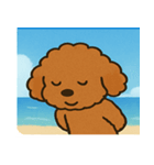 海のトイプードル@SFW（個別スタンプ：13）