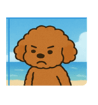 海のトイプードル@SFW（個別スタンプ：14）