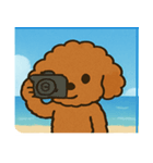 海のトイプードル@SFW（個別スタンプ：15）