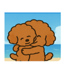 海のトイプードル@SFW（個別スタンプ：16）
