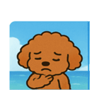 海のトイプードル@SFW（個別スタンプ：19）