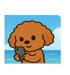海のトイプードル@SFW（個別スタンプ：20）