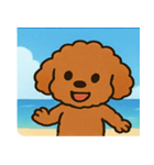 海のトイプードル@SFW（個別スタンプ：21）